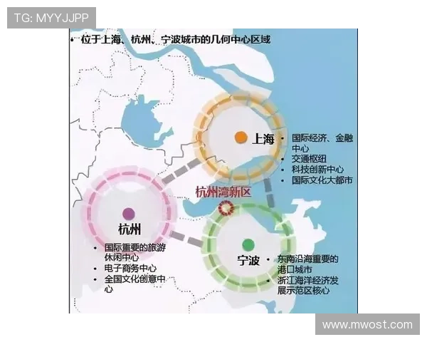 深入分析杭州排球队的控制打法及其战术优势与应用 深入分析杭州排球队的控制打法及其战术优势与应用