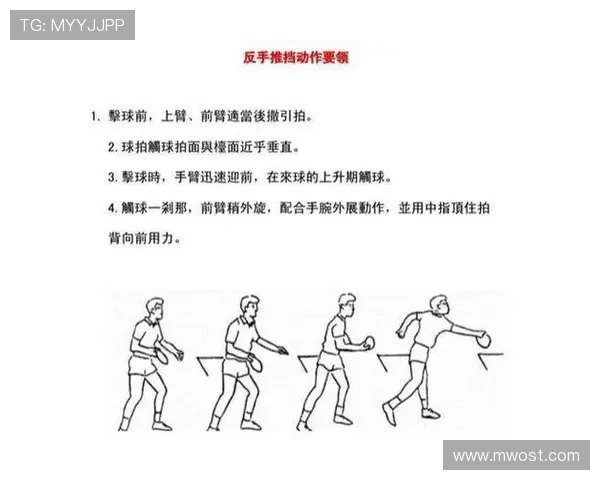 王丽独家揭秘乒乓球技巧与心得分享助你提升球技的秘诀