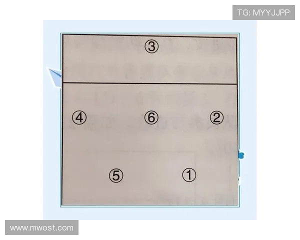 深入分析重庆排球队独特的进攻战术与策略发展 深入分析重庆排球队独特的进攻战术与策略发展