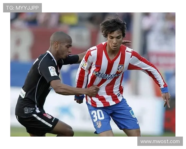 马球场上的传奇10号足球明星的辉煌与梦想