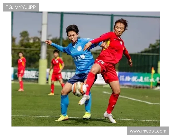 武汉排球队的实力分析与未来发展展望探讨